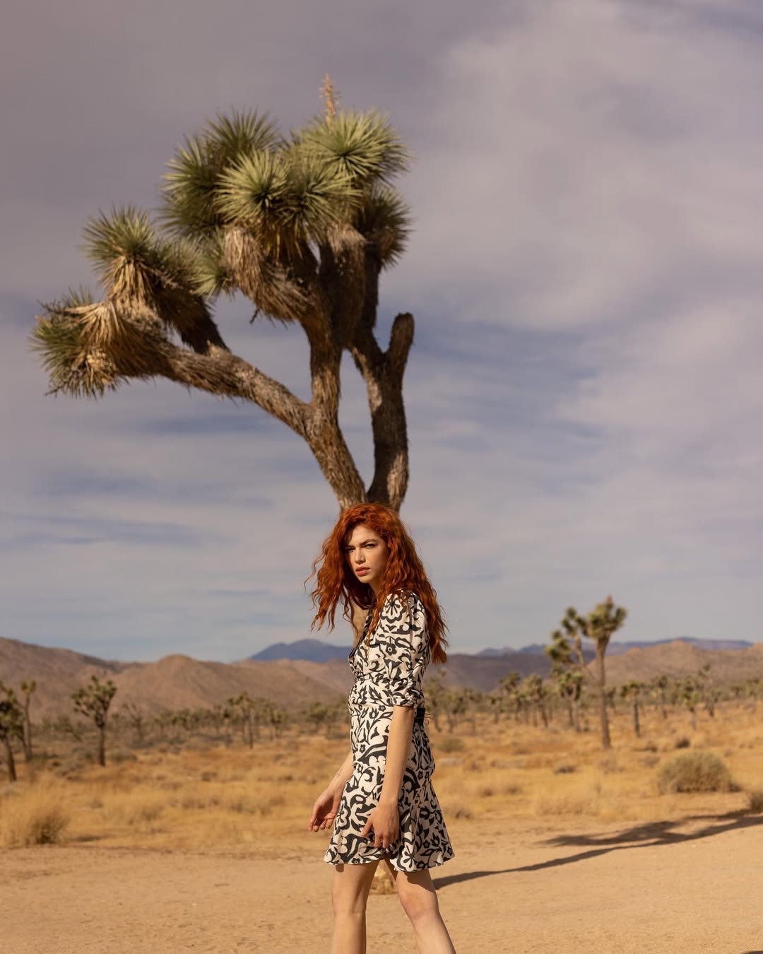 VESTIDO ANANA CORTO
