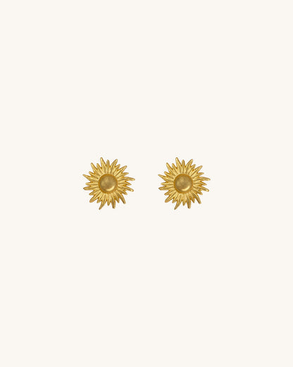 OCASO STUDS