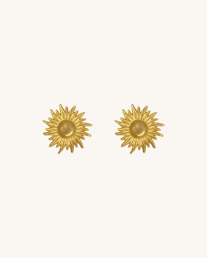 OCASO STUDS