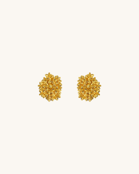 PAOVA STUDS